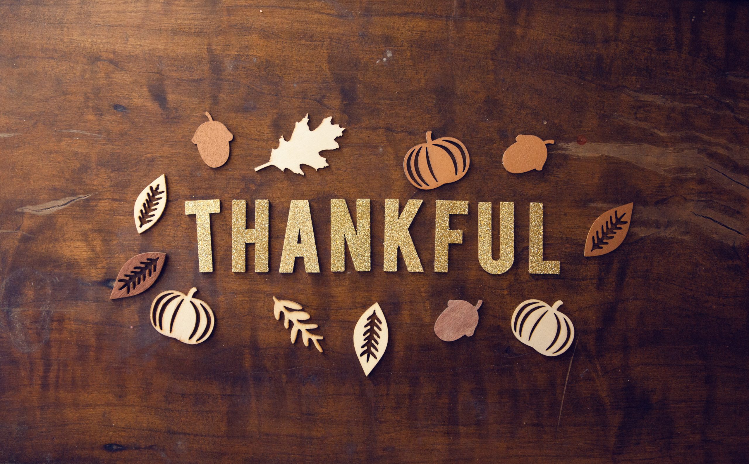 Read more about the article 8 Reasons to Be Thankful at Tallgrass Freight Co.