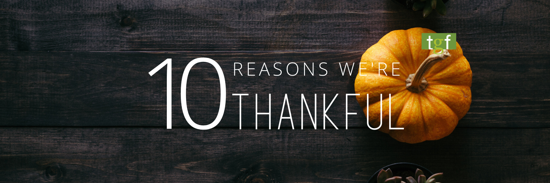 You are currently viewing 10 Reasons We’re Thankful at Tallgrass Freight Co.