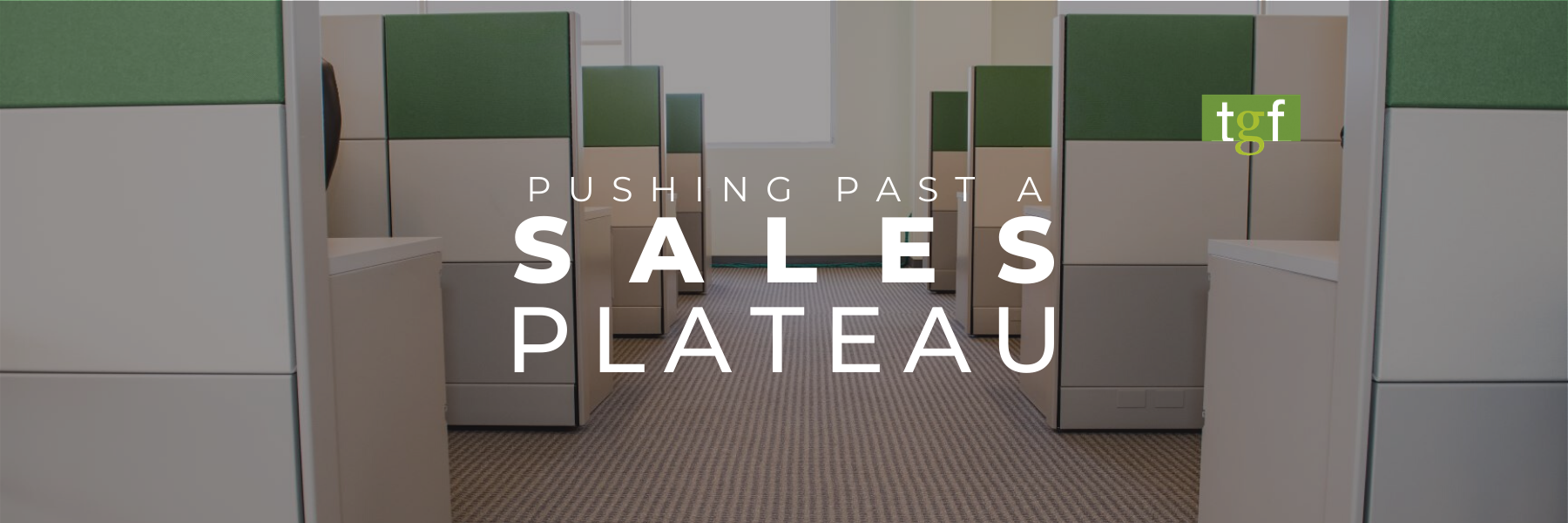 You are currently viewing Avoiding the Peak: How to Push Past a Sales Plateau