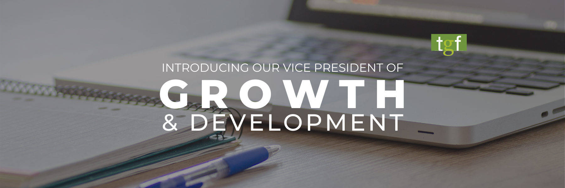 You are currently viewing Introducing our Vice President of Growth & Development