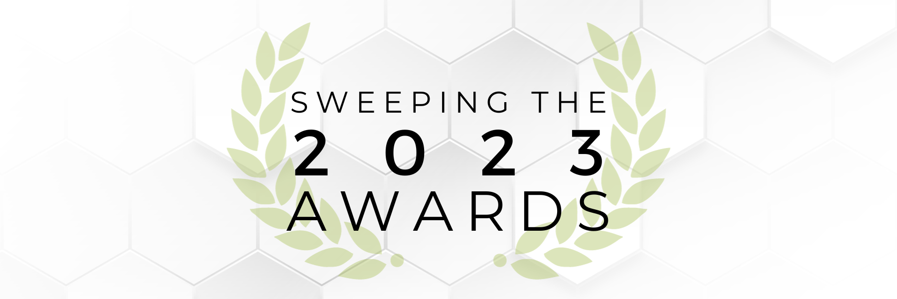 Read more about the article Sweeping the Awards in 2023