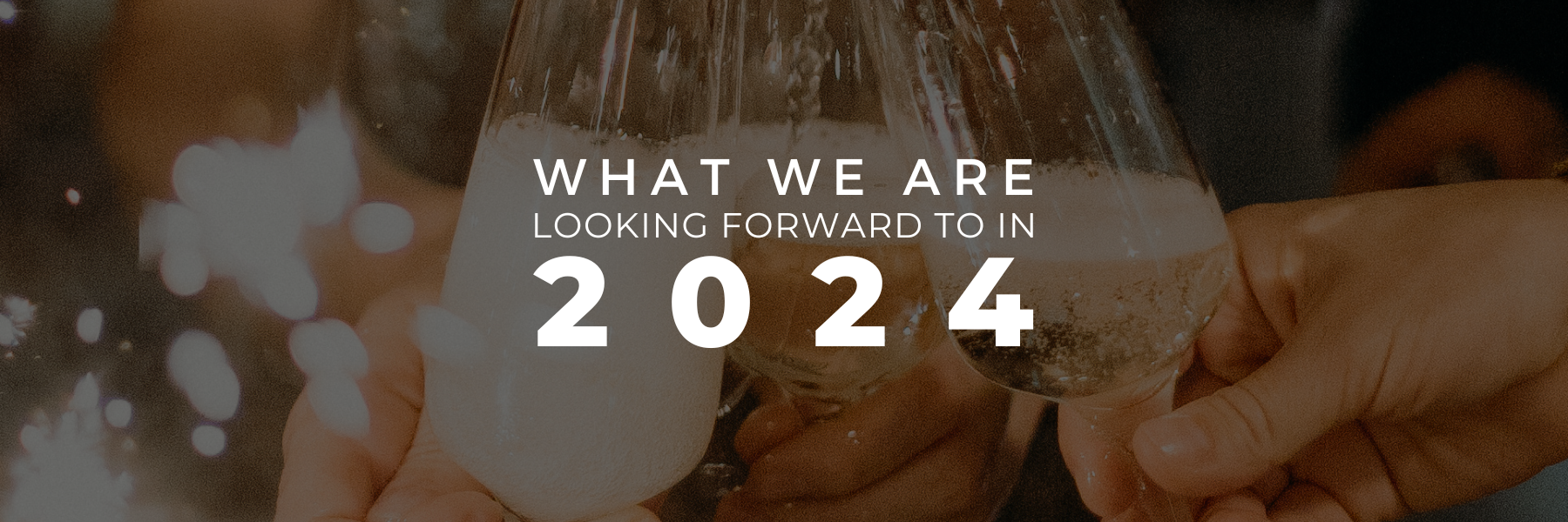 Read more about the article What We’re Looking Forward to in 2024