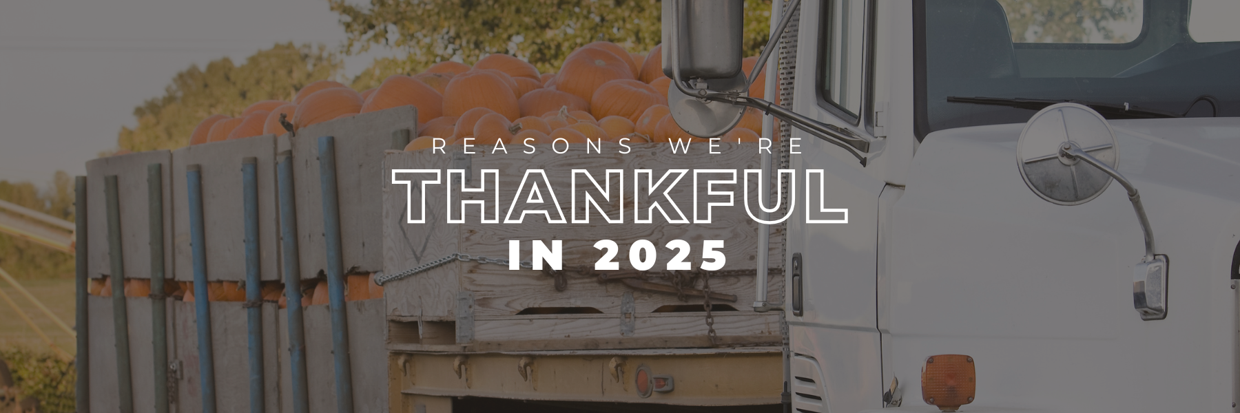 You are currently viewing What We’re Thankful For in 2025